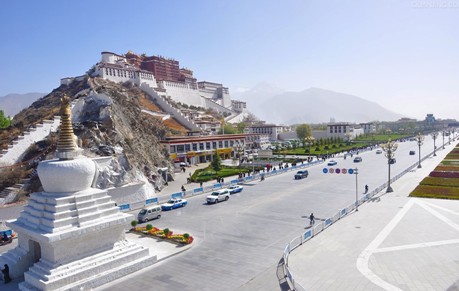 企鵝的感動 全國8強總決賽拉開帷幕