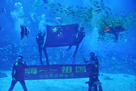 企鵝的感動 全國8強總決賽拉開帷幕