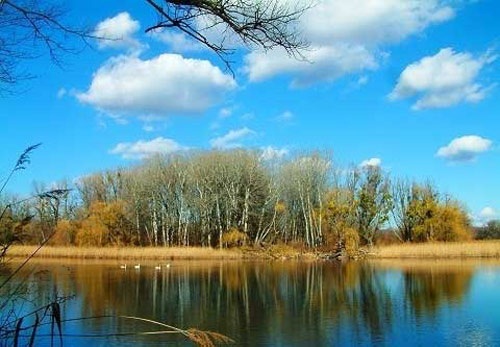 世界罕見景區 歐洲最大濕地多瑙河三角洲
