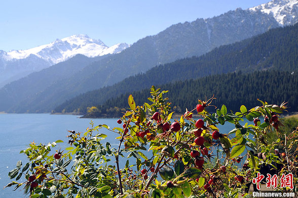 雪后的新疆天山天池“景色醉人”