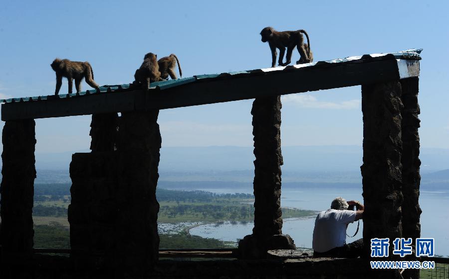 肯尼亞濕地面臨退化威脅