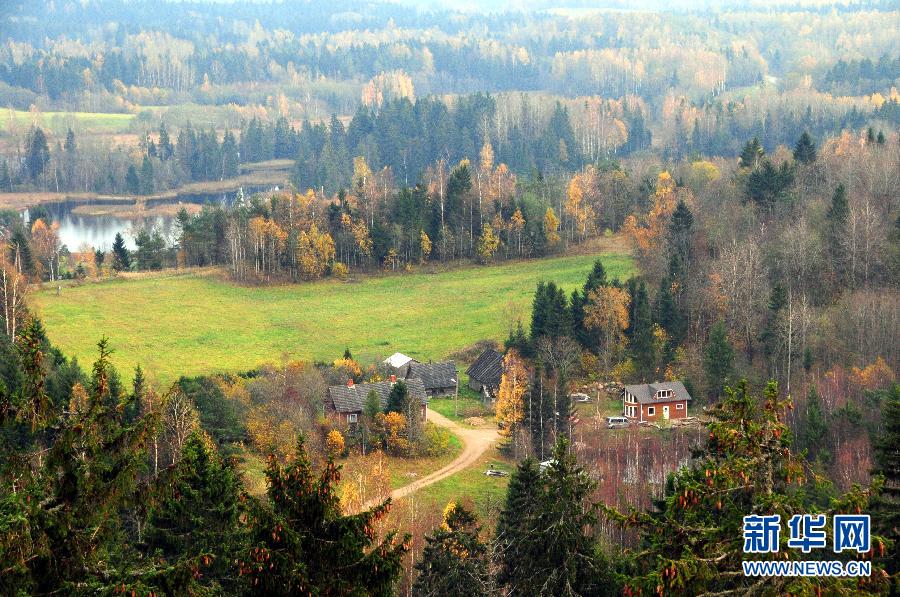 愛沙尼亞金秋 景色迷人