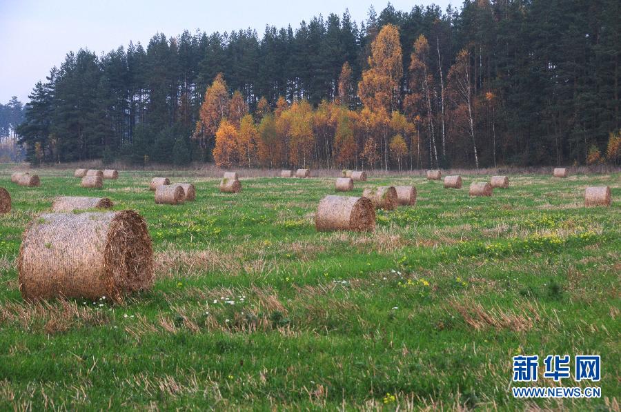 愛沙尼亞金秋 景色迷人