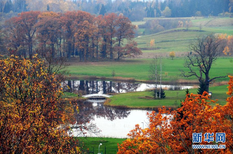 愛沙尼亞金秋 景色迷人