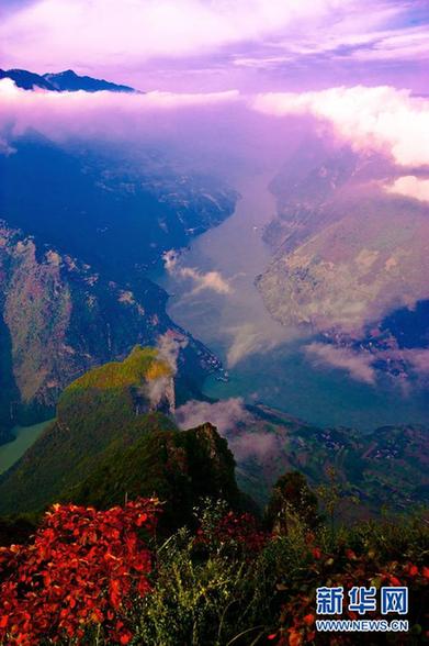 又到三峽紅葉時