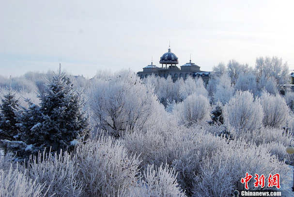 黑龍江伊春現霧凇奇景 美輪美奐