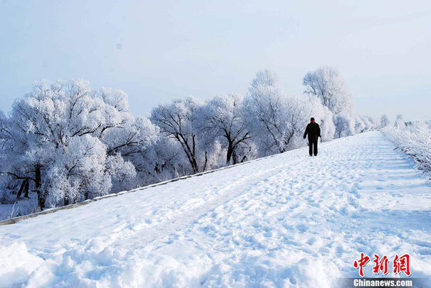 黑龍江伊春現霧凇奇景 美輪美奐