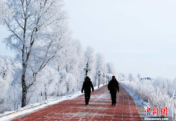 黑龍江伊春現(xiàn)霧凇奇景 美輪美奐