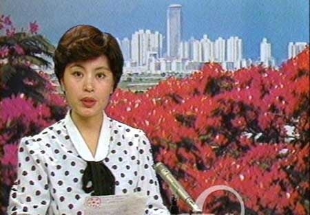 趙忠祥羅京白巖松 央視主播年輕照曝光！