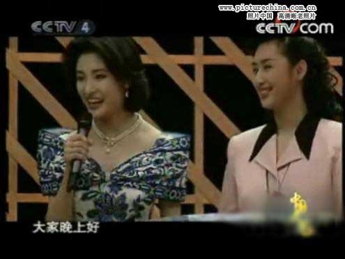 趙忠祥羅京白巖松 央視主播年輕照曝光!