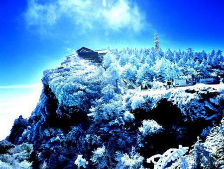 仙境般的純白世界 這個冬假拎起行裝去雪原