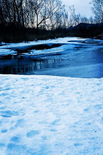 仙境般的純白世界 這個冬假拎起行裝去雪原