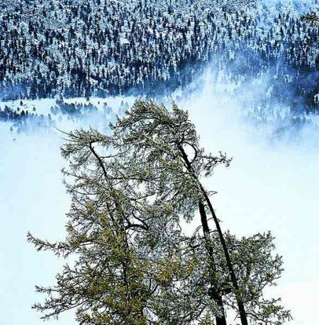 仙境般的純白世界 這個冬假拎起行裝去雪原