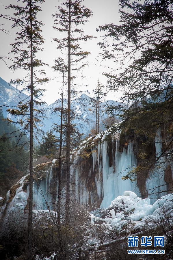 冰雪九寨溝如“童話世界” 散發迷人冬韻