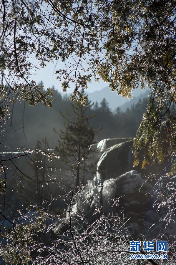 冰雪九寨溝如“童話世界” 散發迷人冬韻