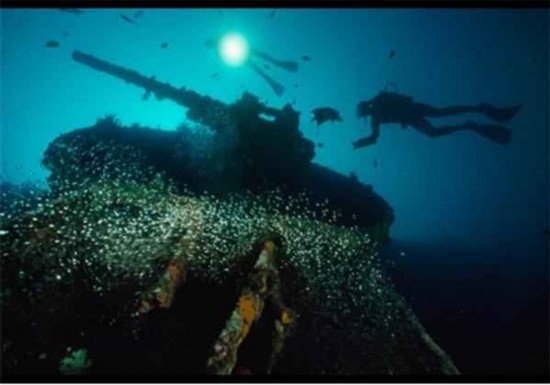 一船裝5萬枚金幣 探秘全球各地沉船寶庫！