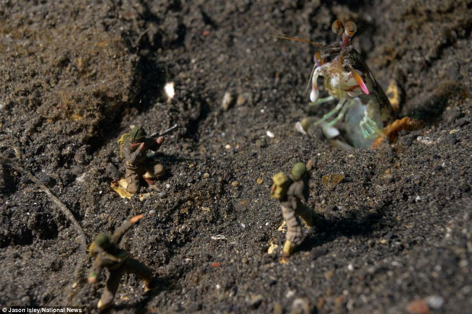 趣味攝影:水底小人國世界(組圖)