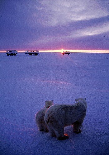 情人節(jié)去哪里？盤點最美約會地