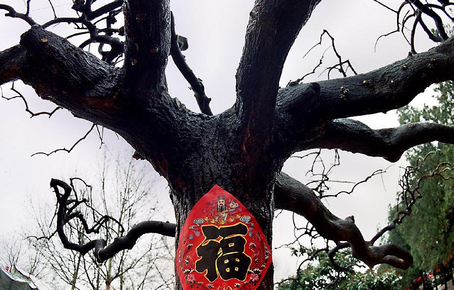 中原地區春節習俗面面觀