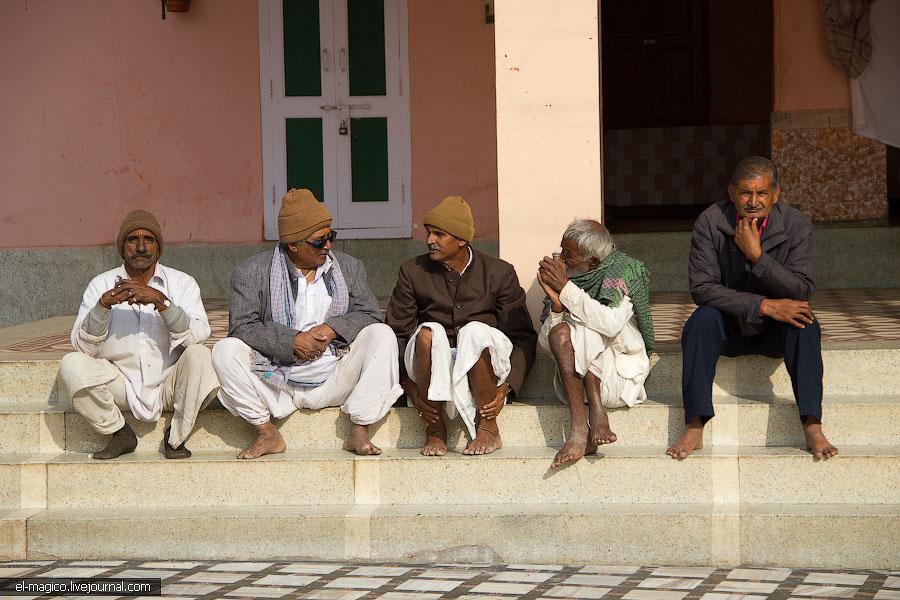 駭人！世界奇怪廟宇之印度“老鼠廟”