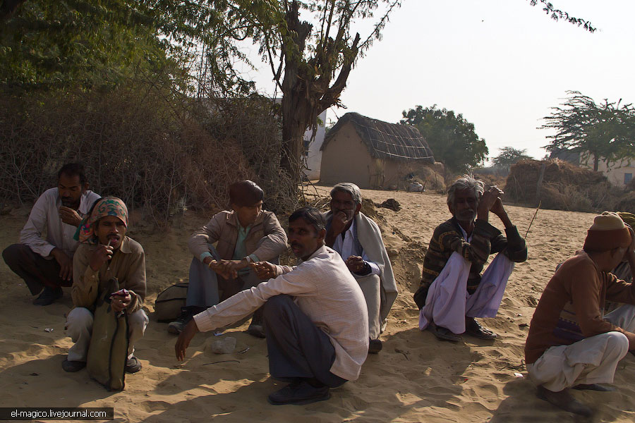 駭人！世界奇怪廟宇之印度“老鼠廟”
