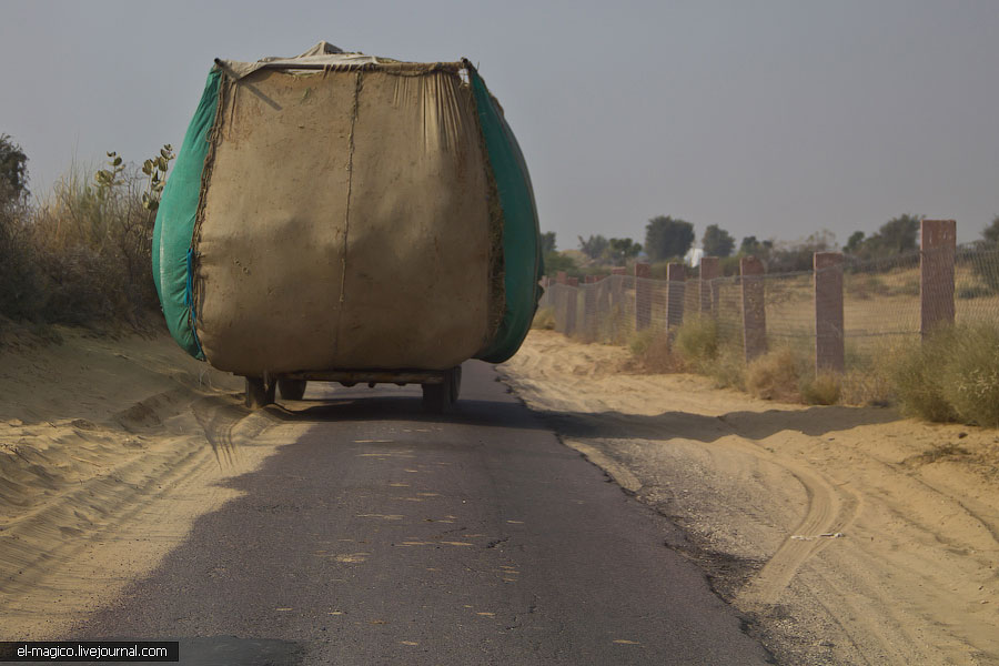 駭人！世界奇怪廟宇之印度“老鼠廟”
