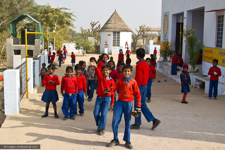 駭人！世界奇怪廟宇之印度“老鼠廟”