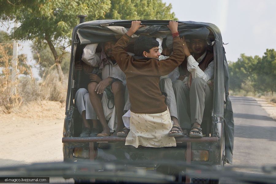 駭人！世界奇怪廟宇之印度“老鼠廟”