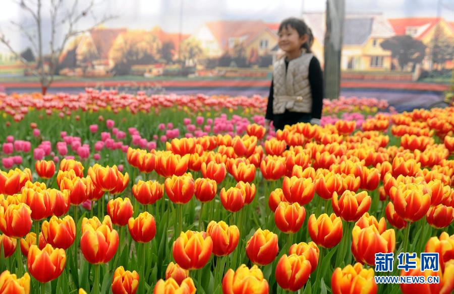 “花開意盎然，雀鳥上枝頭”：聽！春天的腳步聲