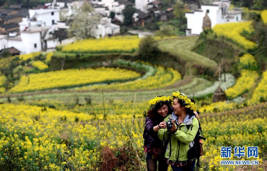 婺源江嶺梯田花海 構成一副優美的田園風光畫卷