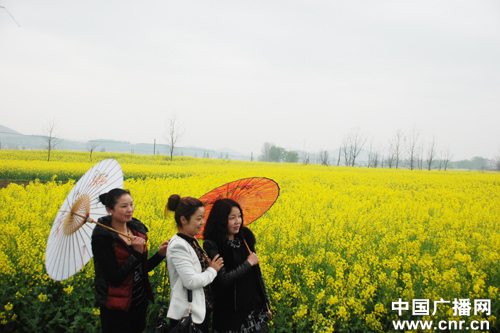賞油菜花海 品農家風情 “美麗武穴”鄉村游醉美“自駕游”