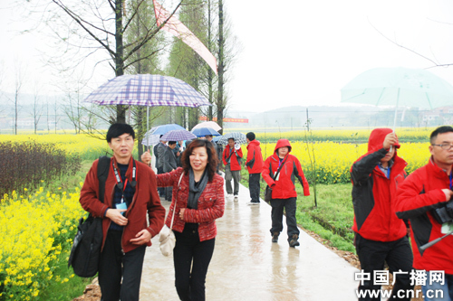 賞油菜花海 品農家風情 “美麗武穴”鄉村游醉美“自駕游”