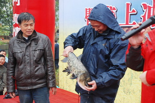 賞油菜花海 品農家風情 “美麗武穴”鄉村游醉美“自駕游”