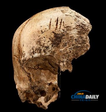 最新研究揭殘酷歷史 美洲首批英殖民者是食人族