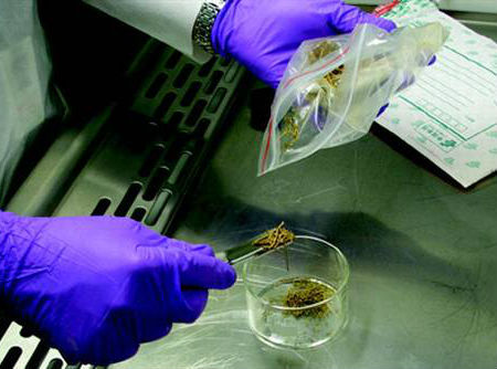 十個迄今發現的最古老物體：7000年石制面具