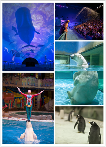 十一長假尋“美麗天堂”(圖)