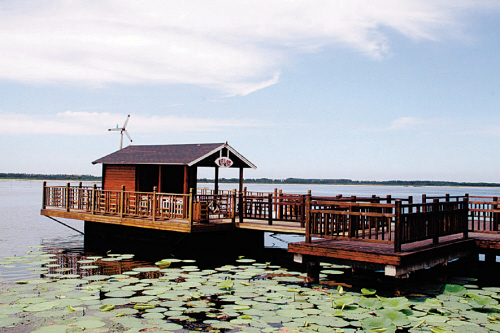 城市文化建設遍布 沈陽朝“文化名城”大步邁進