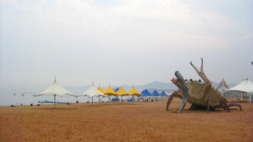 視覺行：多彩大連