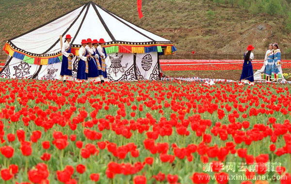 西部大開發(fā)10年間的云南香格里拉[多圖]