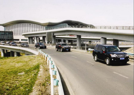 200余只精品藏獒、中亞名犬亮相新疆國際博覽中心