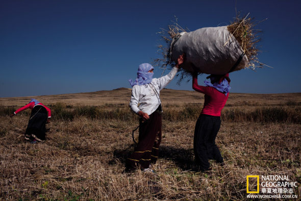 探訪哥貝可利石陣:宗教崇拜點亮文明之光