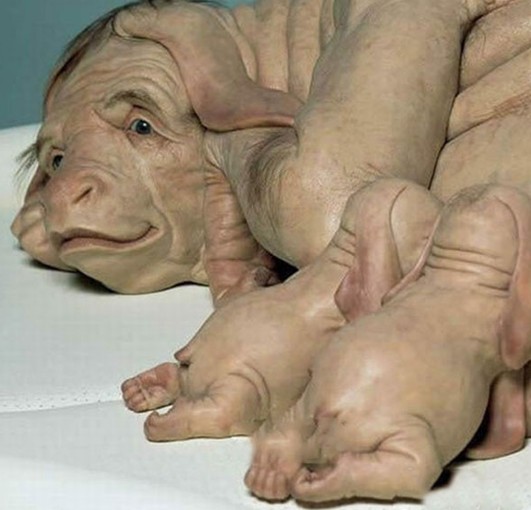 驚世駭俗的“豬人”！