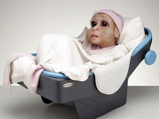 驚世駭俗的“豬人”！