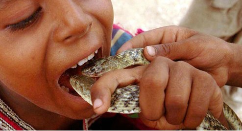 探訪南亞神秘的蛇人部落
