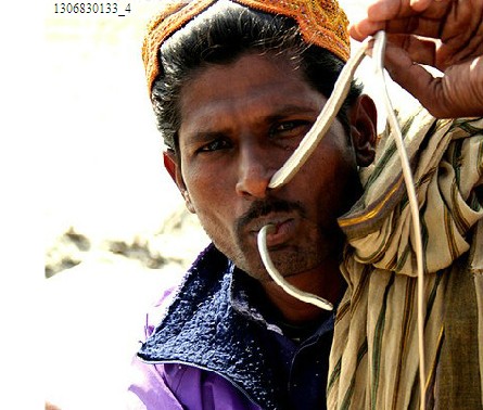 探訪南亞神秘的蛇人部落