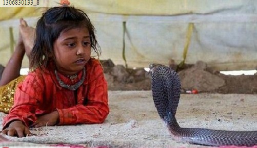 探訪南亞神秘的蛇人部落