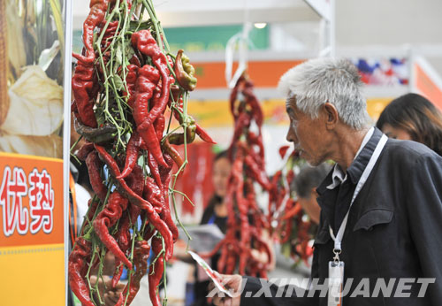 第十二屆中國新疆國際農業博覽會開幕