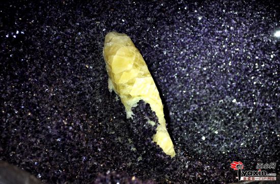 烏魯木齊現世界罕見3噸重紫水晶 里面可躺入一人