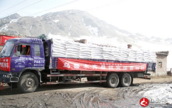 烏魯木齊縣680噸飼料免費發(fā)放 助牧民抗災(zāi)保畜