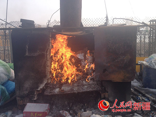 烏魯木齊機(jī)場口岸截獲近百株非法進(jìn)境樹苗